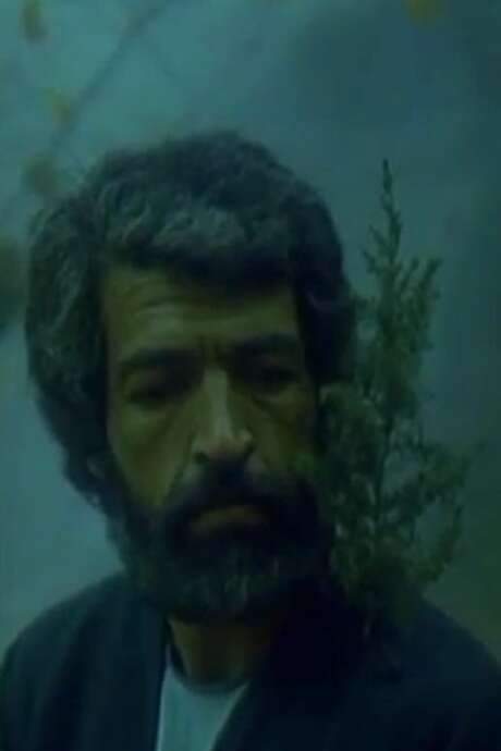 The Man with the Fir Tree